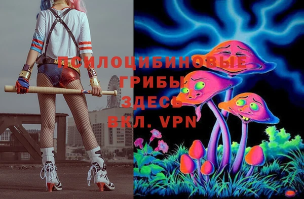 мяу мяу мука Аркадак