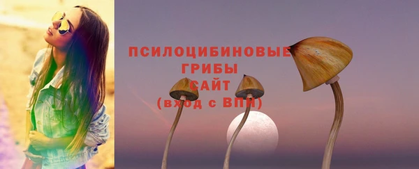 ECSTASY Балахна