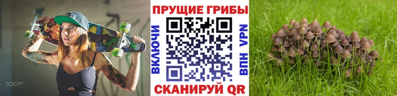 Галлюциногенные грибы прущие грибы  ссылка на мегу ссылки  Новомосковск 