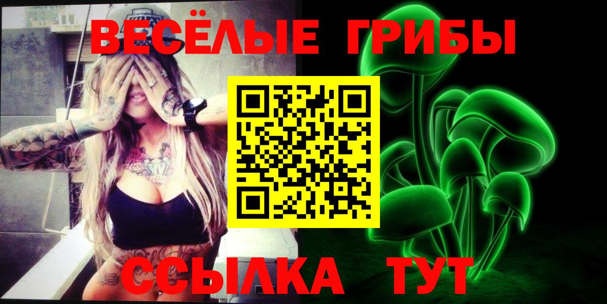 Галлюциногенные грибы мицелий  Вход с VPN  Галлюциногенные грибы прущие грибы  Новомосковск 