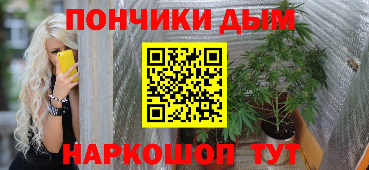 Каннабис OG Kush Новомосковск